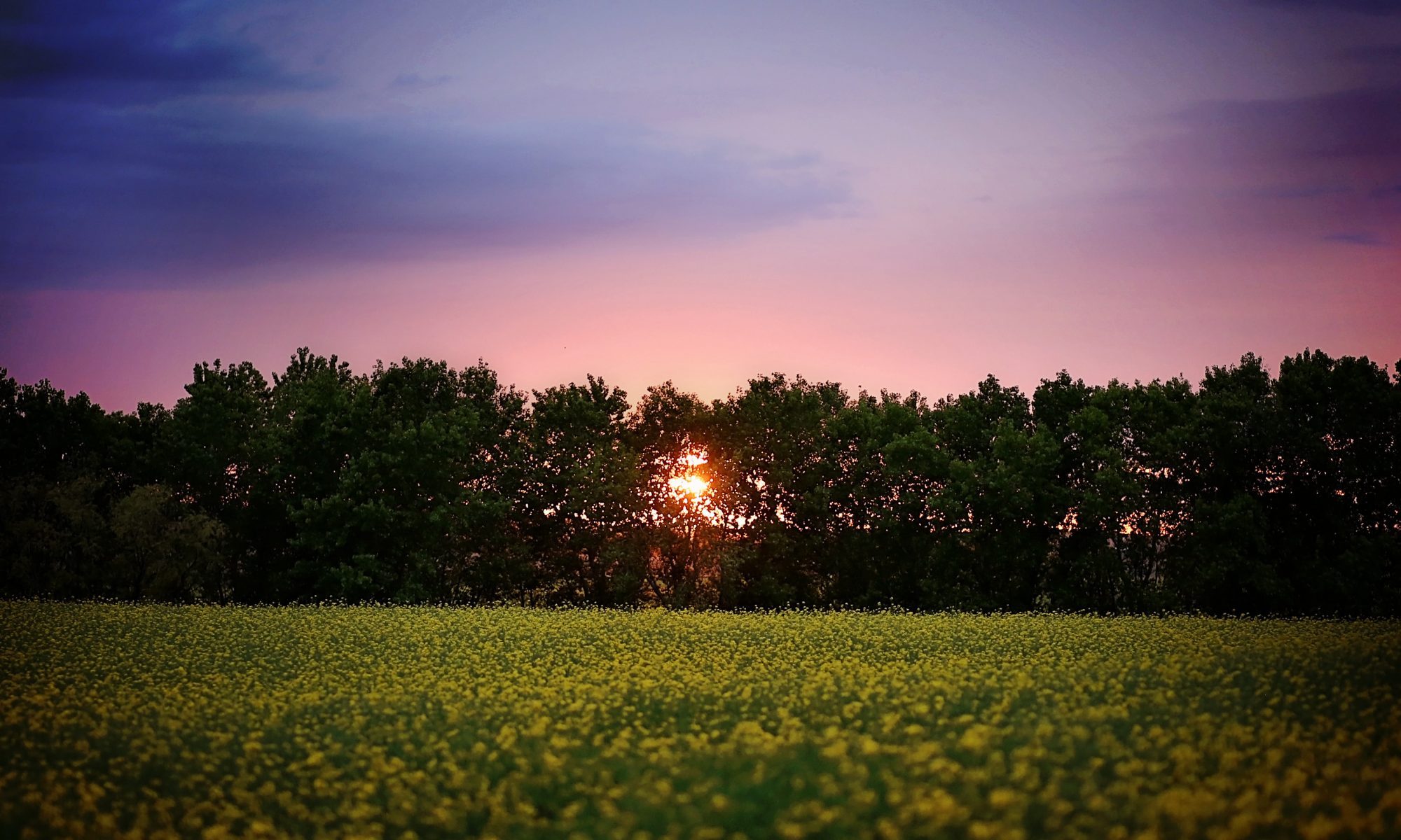 Medicine Lodge