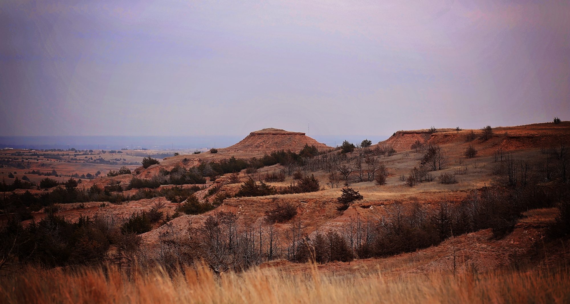 Medicine Lodge